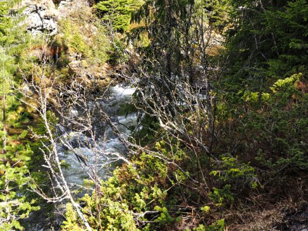 Am Ulafossen