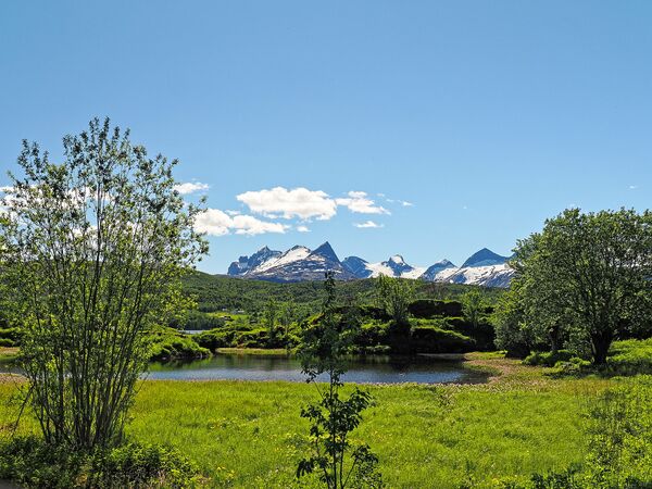 Am Saltfjorden