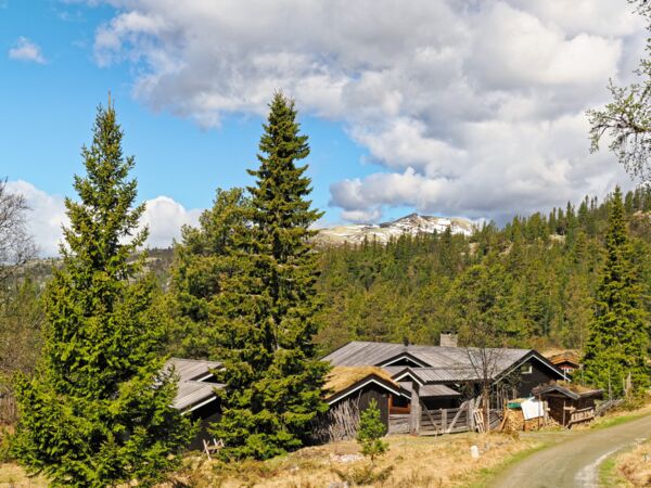 Rund um Mysusæter