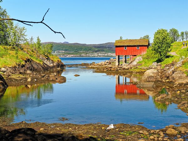 Am Saltfjorden