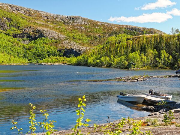 Am Valnesfossen