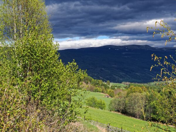 Wechsel zwischen Sonne und Regenwolken