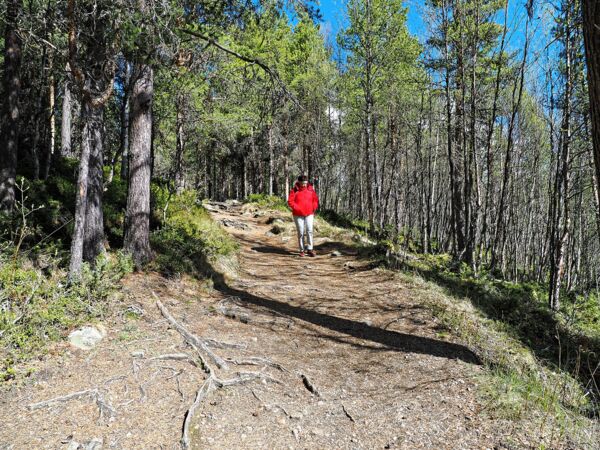 Der Weg zum Ridderspranget