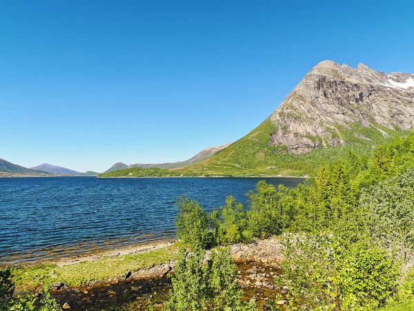 Am Saltfjorden