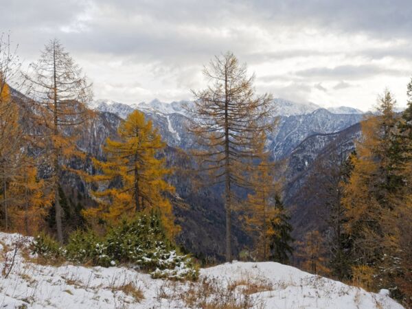 Winter am Vršičpass