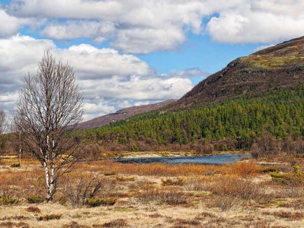 Die Sjoa im Jotunheimen