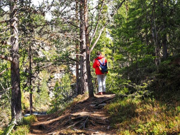 Entlang des Ulafossen