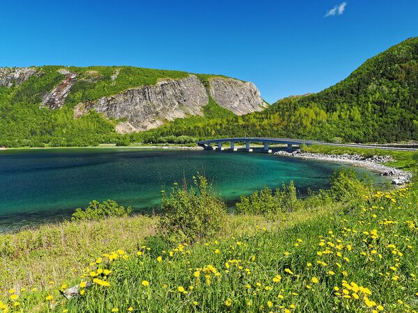 Am Saltfjorden