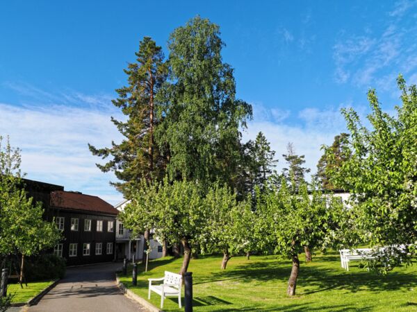Quality Hotel Leangkollen