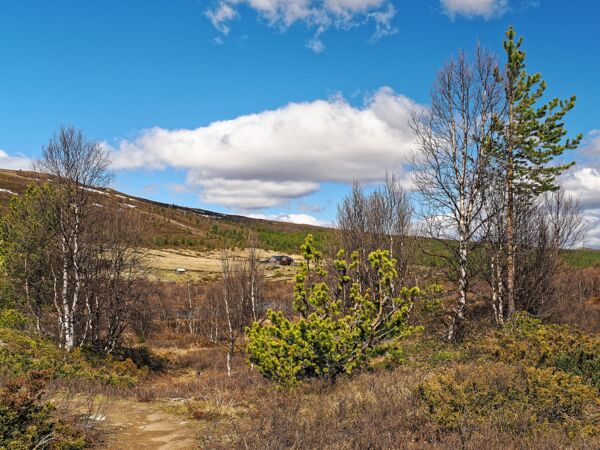 P5279912_H.jpg