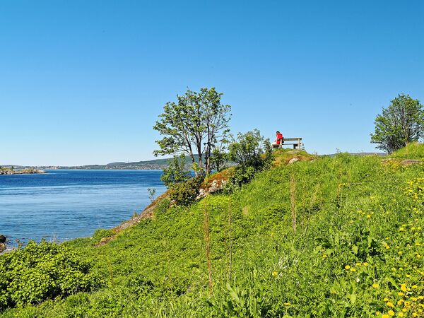 Am Saltfjorden