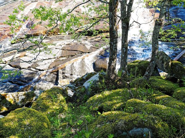 Der besondere Wasserfall am Saltfjorden