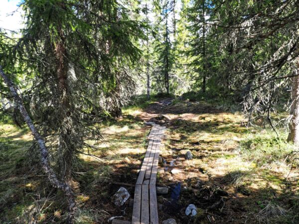 Der Weg zum Ulafossen