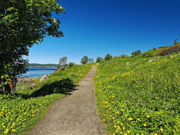 Am Saltfjorden