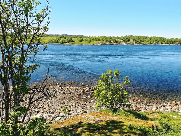 Am Saltfjorden
