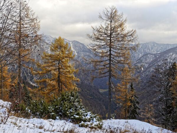 Blick vom Vršičpass