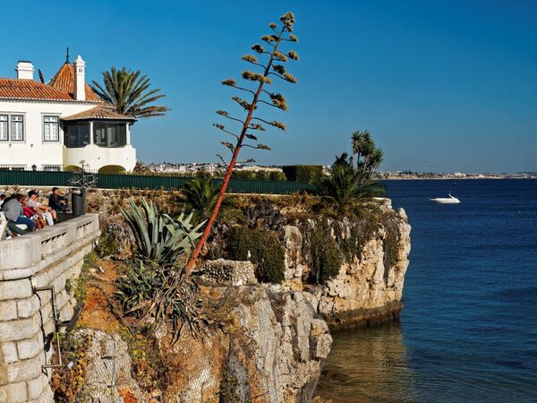 Cascais -wunderschönes altes Fischerdorf.