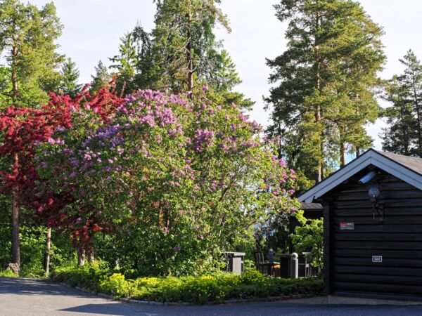 Quality Hotel Leangkollen