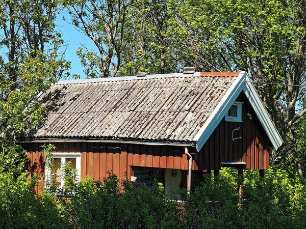 Am Saltfjorden