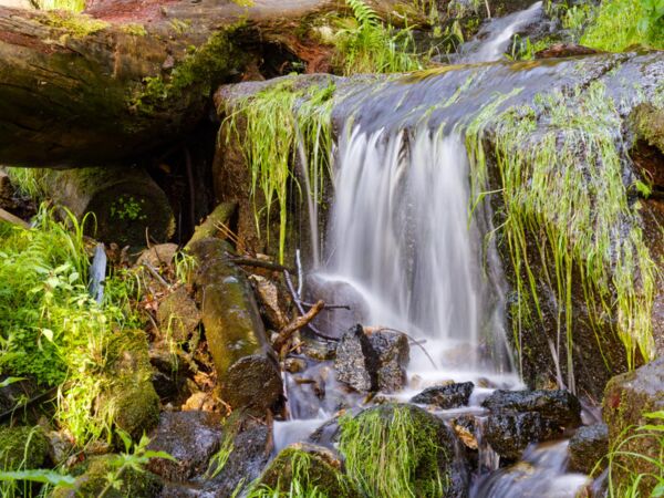 Blumenthaler Wasserfall im Erzgebirge