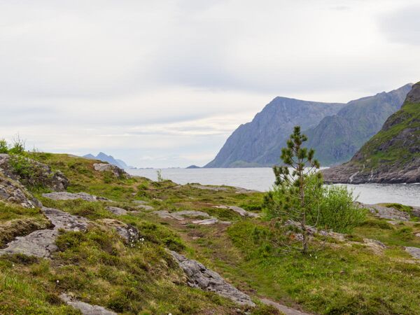 Am Ende der Straße bei Å i Lofoten