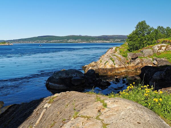 Am Saltfjorden