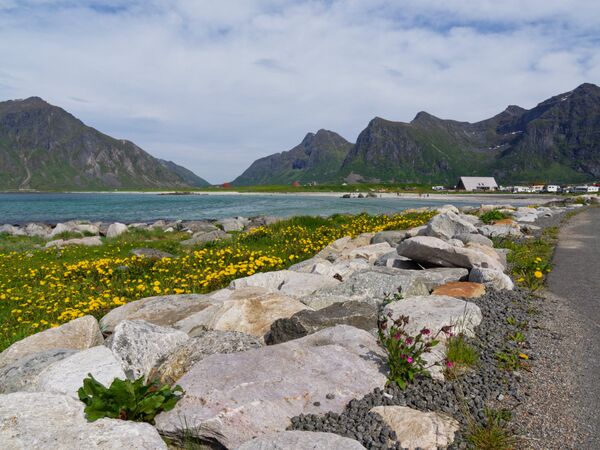 Flakstad Beach