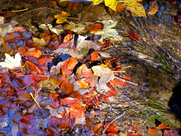 Herbstzeit