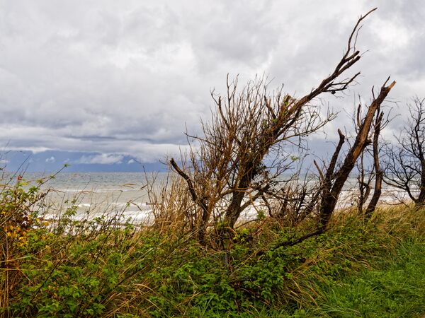 Hohes Ufer zwischen Wustrow und Ahrenshoop