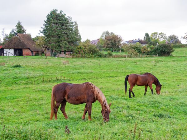 Blick auf Ahrenshoop