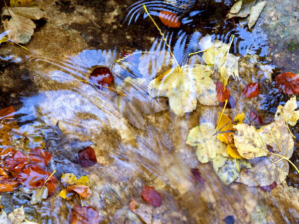 Typisches Herbstbild mit Spiegelungen