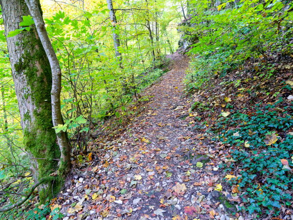 Auf dem Weg zum Wasserfall