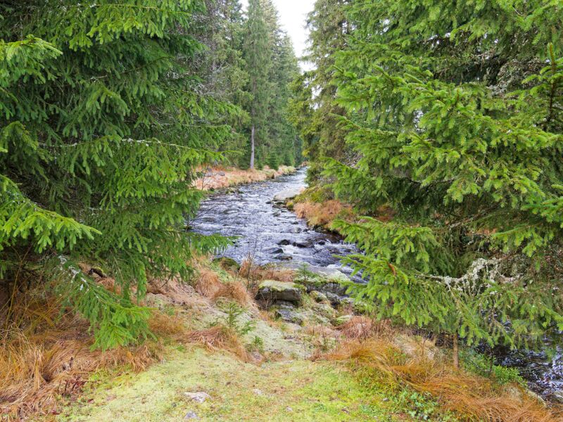 Fotoreise in den Böhmerwald
