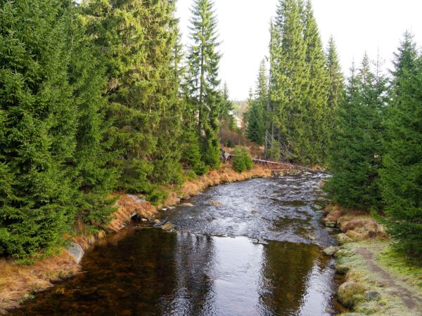 Am Roklanský potok-2.jpg