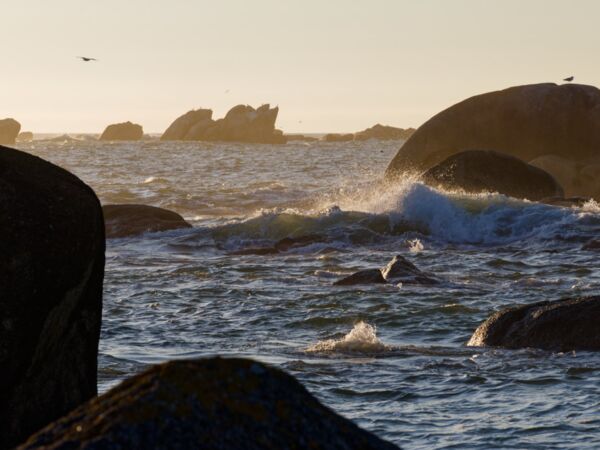 An der bretonischen Küste von Kerlouan