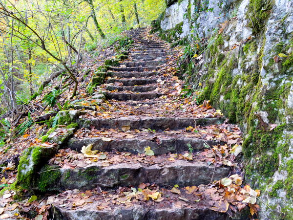 Weg zum Wasserfall