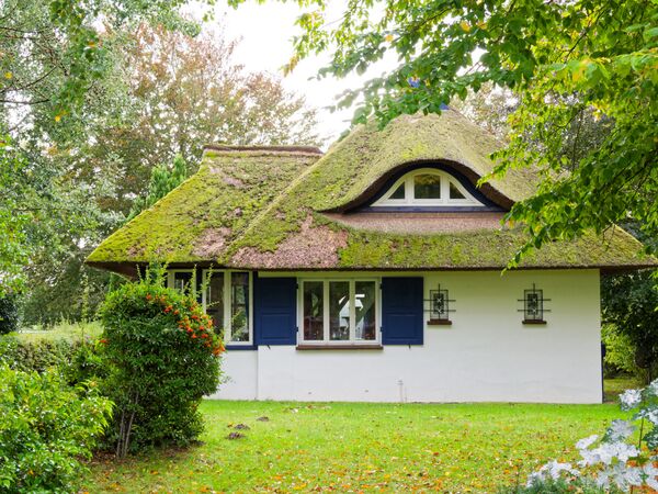 Architektur in Ahrenshoop