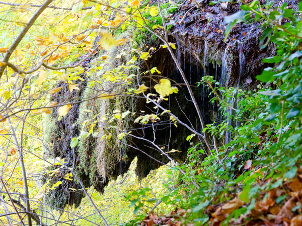Der Ursacher Wasserfall