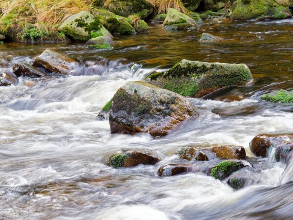 Die wilde Vydra-2.jpg