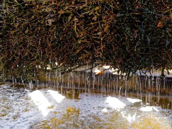 Bad Sülze Gradierwerk