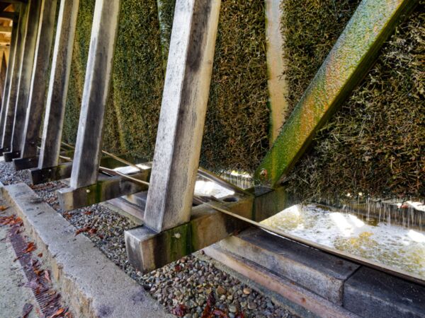 Bad Sülze Gradierwerk