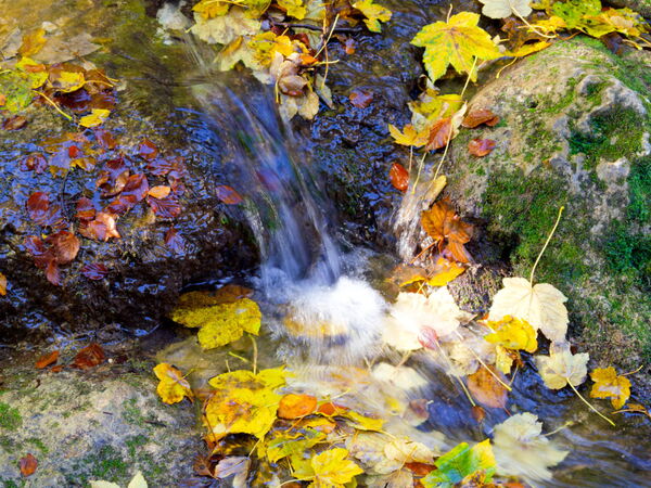 Der kleine Wasserfall