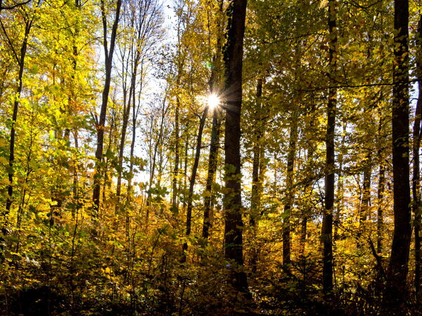 Herbstblick