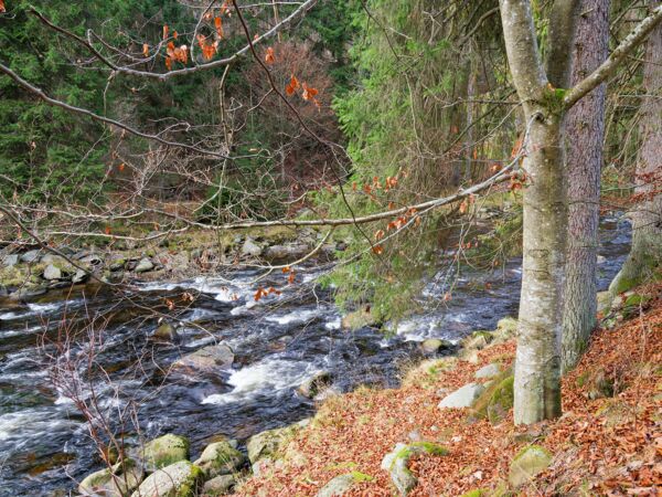 Vydra wurd zur Otavar.jpg