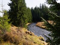 Panoranabild Modrava