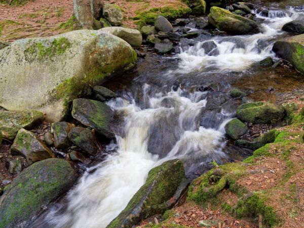 Hamersky potok-2.jpg