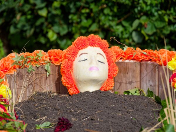 Bad Sülze Dahlienfest