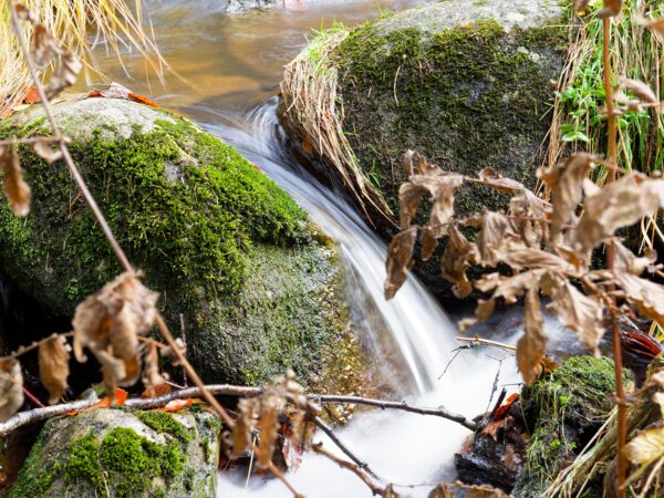 Alles fließt in die Vydra.jpg