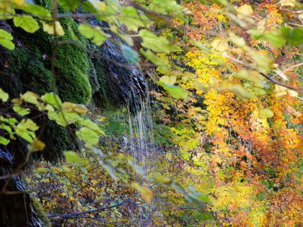 Am Usacher Wasserfall