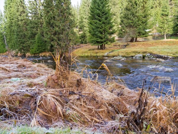 Winterlich bei Modrava.jpg